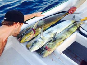 Fish on a boat recently caught off Pedasi Azuero Peninsula Panama – Best Places In The World To Retire – International Living